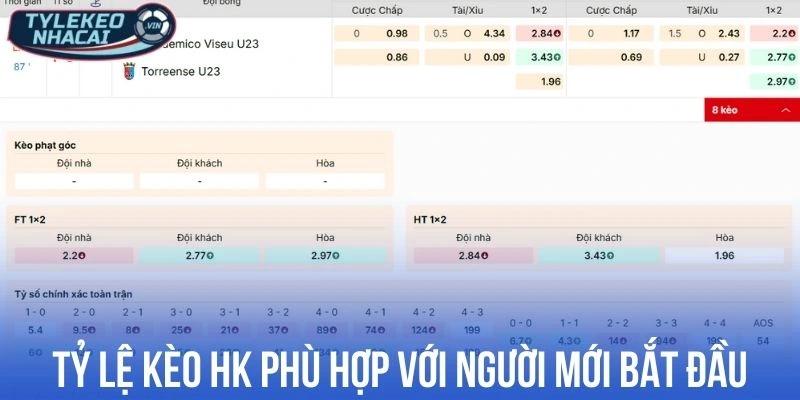 Tỷ lệ kèo HK phù hợp với người mới bắt đầu