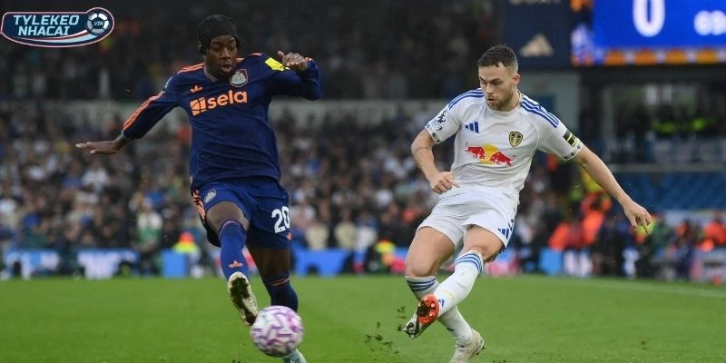 Đánh giá kết quả thi đấu gần đây của các bên