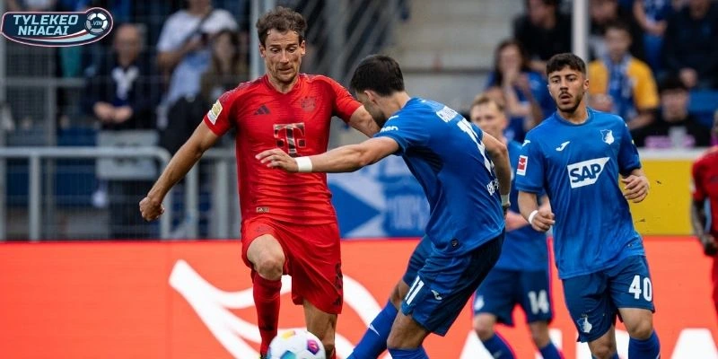 Năng lực thi đấu Bayern và Hoffenheim