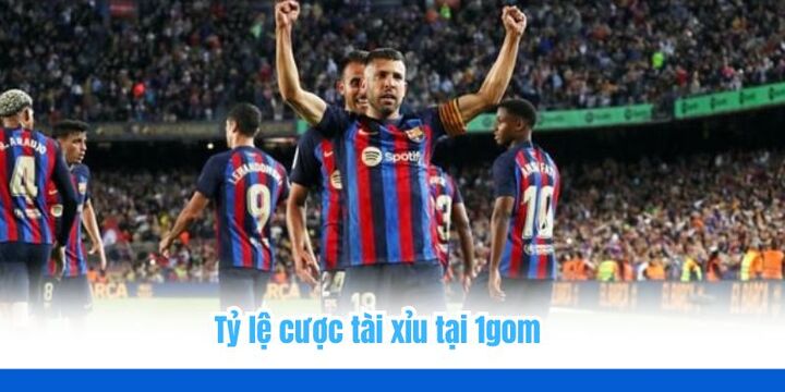 Theo dõi bảng xếp hạng trên 1gom đơn giản và hiệu quả