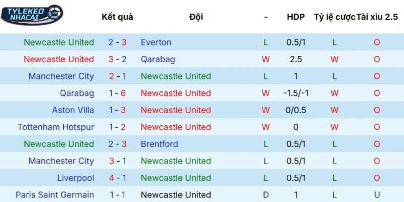 Dấu ấn thi đấu của Newcastle United