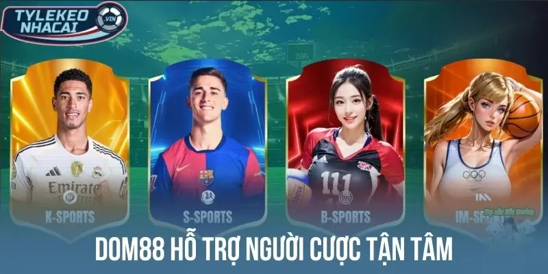 Dom88 hỗ trợ người cược tận tâm