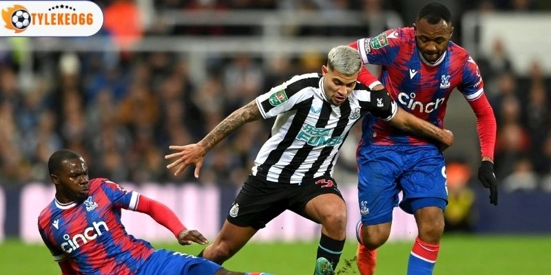 Sức mạnh Crystal Palace vs Newcastle